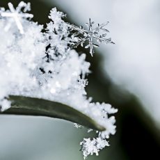 年末年始休業のお知らせ